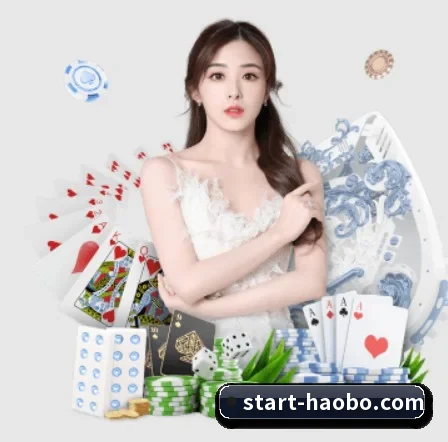 国际化进程 - HaoBo